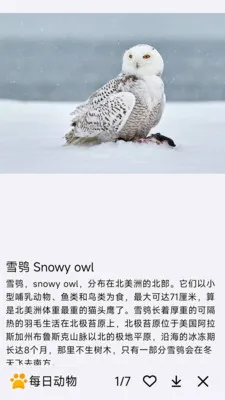 ÿ�ն���(�������APP)v1.0.0 �ٷ������ͼ