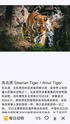ÿ�ն���(�������APP)v1.0.0 �ٷ������ͼ