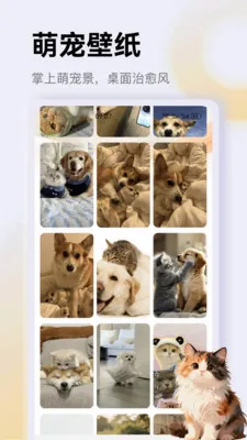 ����è��app(è��һվʽƽ̨)v1.3 ��׿���ͼ