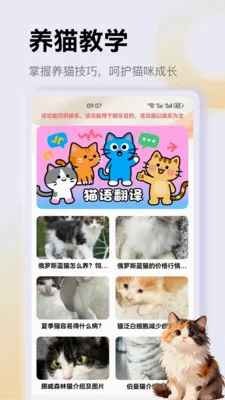 ����è��app(è��һվʽƽ̨)v1.3 ��׿���ͼ