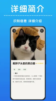 AI����ʶ��(����ʶ��Ӧ��)v1.0.4 ��Ѱ��ͼ