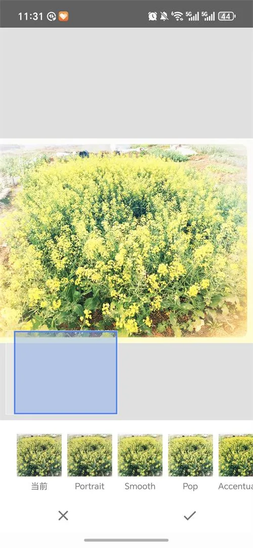BetterSeed2026�ٷ����°汾v2.22.0.633363672 ��׿���ͼ