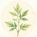 Ұ���ռ�(�����ռ�Ӧ��)v1.0.0 ��׿��